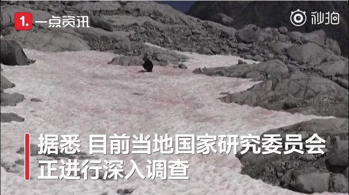 阿爾卑斯山驚現粉色冰川2 alps2.png